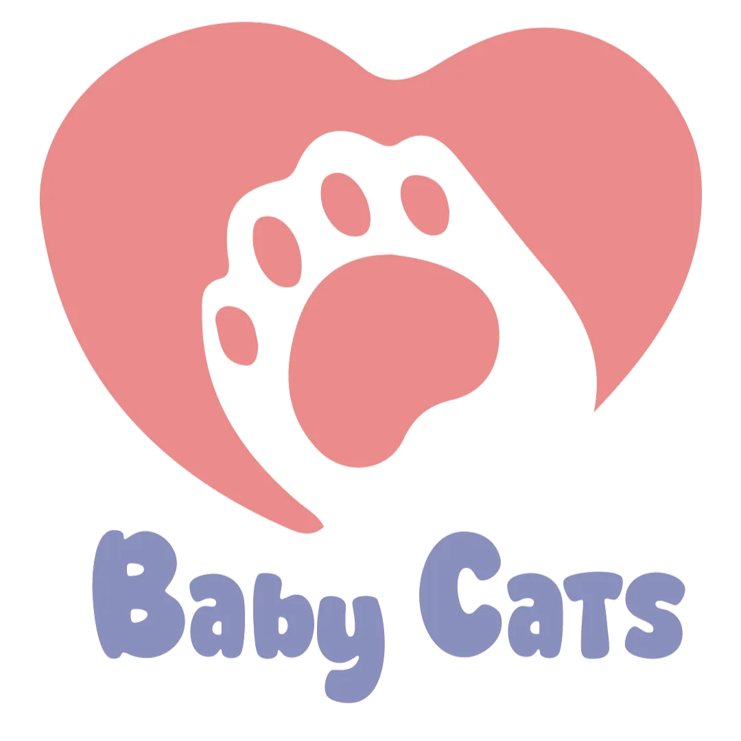 Baby Cats